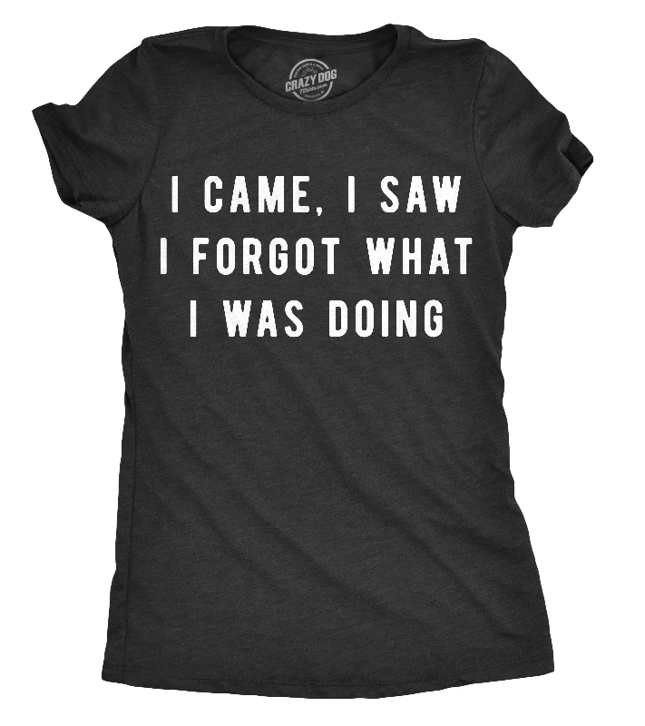 casual scoop neck t-shirt for women -I Came, I Saw I Forgot What I Was Doing Women's T Shirt